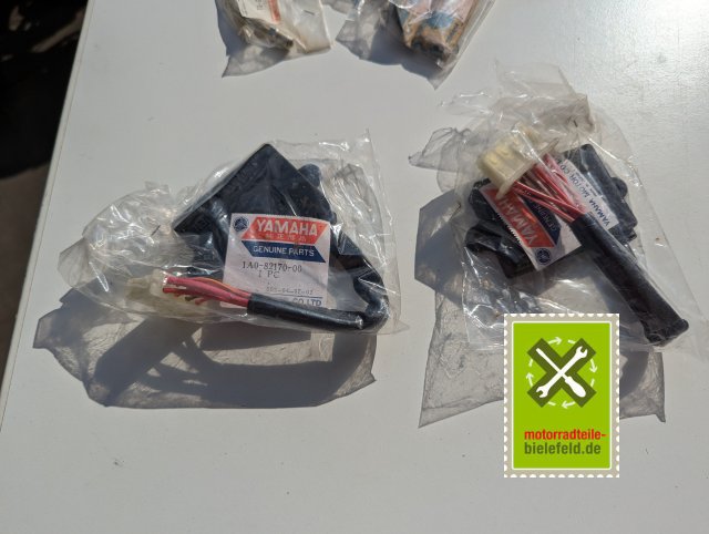 PXL_20240523_152336285